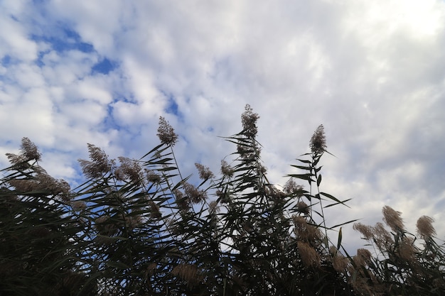 mooie heldere witte wolken op een blauwe lucht pluizige witte wolken op een zonnige dag