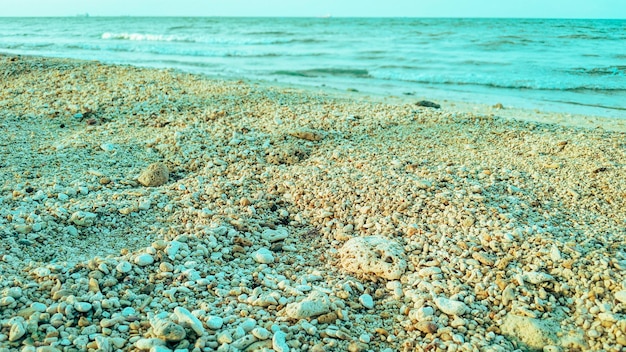 mooie heldere zand en rotsen strand achtergrond