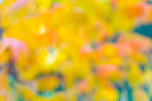 Mooie herfst achtergrond. Intreepupil wazig herfstbladeren achtergrond. Herfst seizoen advertentie. Natuurlijke schoonheid. Natuurlijke kleuren. Herfst bomen achtergrond. Vage herfstgele en oranje bladeren.