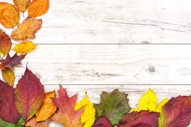 Mooie herfst achtergrond veelkleurige gekleurde bladeren op een houten tafel met kopieerplaats