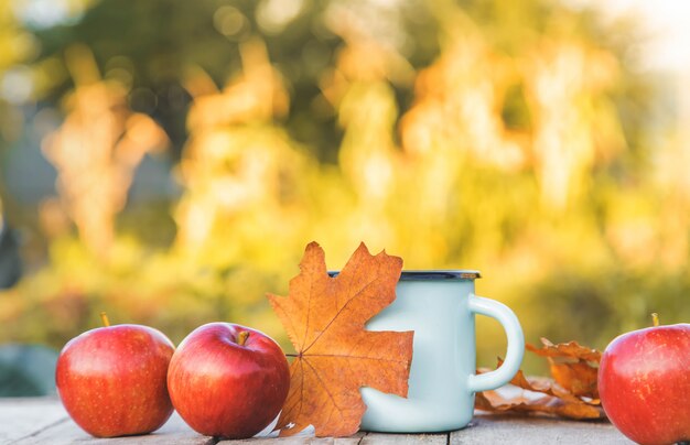 Mooie herfst achtergrond.