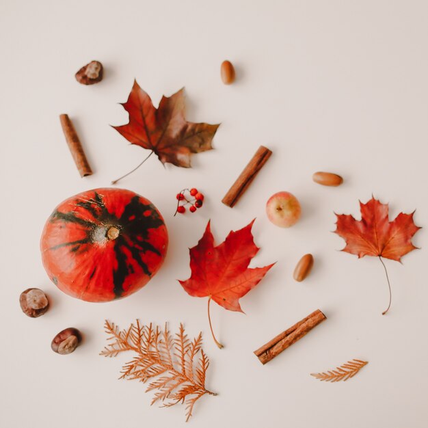 Mooie herfst flatlay met oranje en rode bladeren creatief herfstpatroon