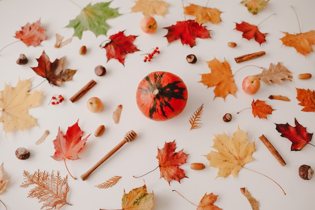 Mooie herfst flatlay met oranje en rode bladeren creatief herfstpatroon