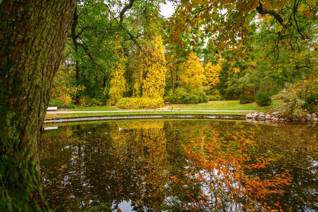 Mooie herfst landschap in het botanische park in Palanga, Litouwen. Rustig water in de vijver, oude groene en gele bomen.