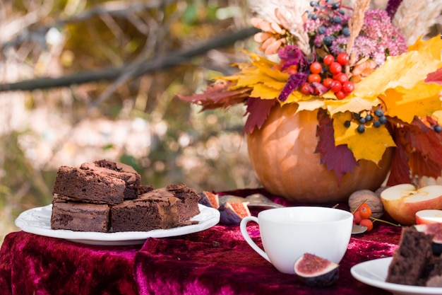 Mooie herfst picknick in de natuur in het park.