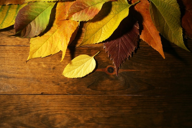 Mooie herfstbladeren op houten achtergrond