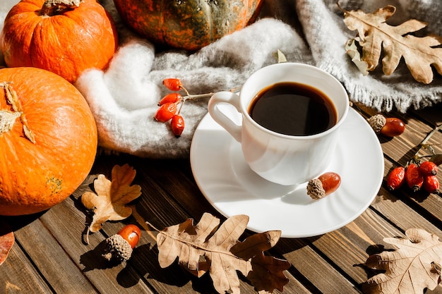 Mooie herfstcompositie met koffieherfstbladeren en pompoenen op een rustieke boomachtergrond het concept van het herfstseizoen