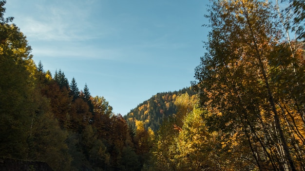 Mooie herfstkleuren op de heuvel