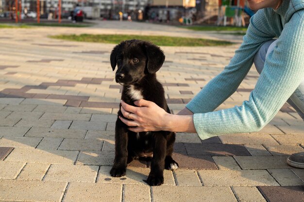 Mooie hond die bij de benen van de eigenaar staat, wandelen en avontuur met huisdierenconcept