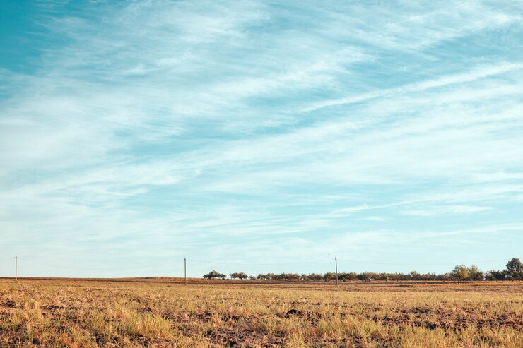 Mooie horizontale landschapsmening met blauwe lucht en gouden grasveld