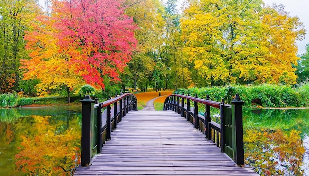 Mooie houten brug over de vijver in een kleurrijk herfstpark