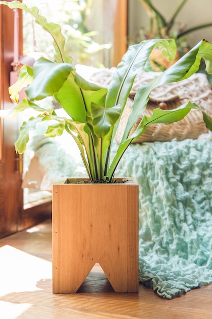 Mooie houten pot met planten