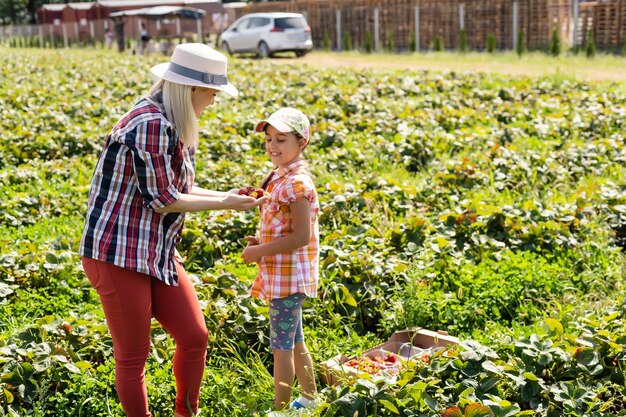 Mooie jonge blanke moeder met haar dochter plukt aardbeien in het veld