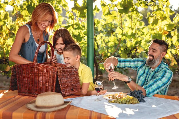 Mooie jonge glimlachende familie van vier die picknicken bij een wijngaard.