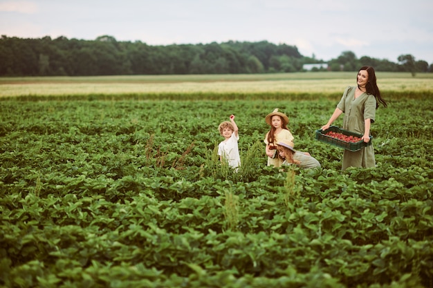 Mooie jonge moeder met kinderen in een linnen jurk met een mandje aardbeien verzamelt een nieuwe oogst en heeft plezier met de kinderen