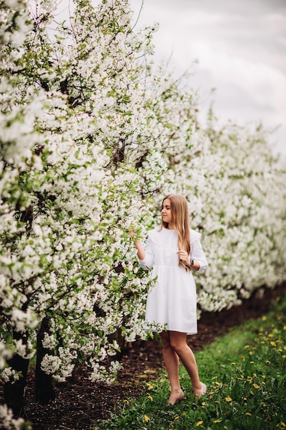 Mooie jonge vrouw in de buurt van bloeiende witte boom in het voorjaarspark. Een vrouw in een witte jurk staat tussen de bloemen aan een appelboom. lente seizoen concept