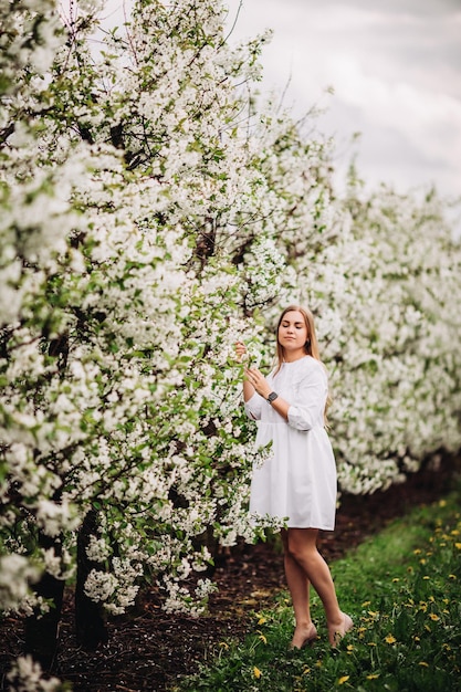 Mooie jonge vrouw in de buurt van bloeiende witte boom in het voorjaarspark. Een vrouw in een witte jurk staat tussen de bloemen aan een appelboom. lente seizoen concept