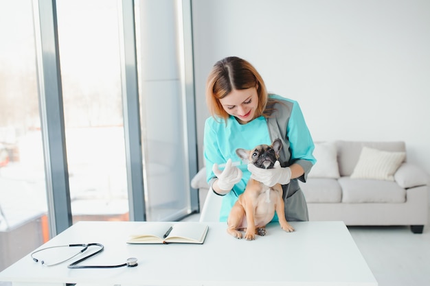 Mooie jonge vrouwelijke dierenarts die hond in kliniek onderzoekt