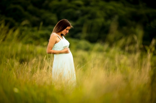 Mooie jonge zwangere vrouw ontspannen buiten in de natuur op zomerdag