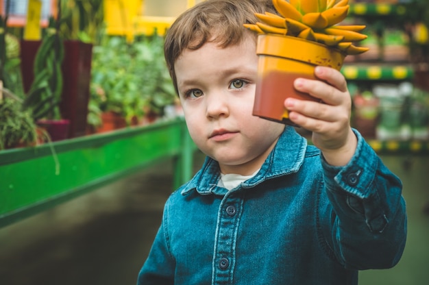 Mooie jongen spelen met vetplanten plant in de winkel. Tuinieren In Serre. Botanische tuin, bloementeelt, tuinbouwconcept