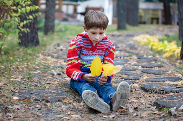 Mooie jongen zit met gele bladeren Kind op een herfstwandeling