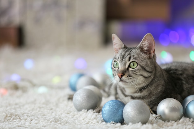 Mooie kat in de buurt van kerstboom met decoratie