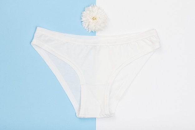 Mooie katoenen slipje en knop van bloem op blauwe en witte achtergrond. Vrouw ondergoed set. Romantische lingerie.