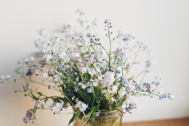 Mooie kleine blauwe bloemen in vaas in warm zonlicht tegen witte muur Delicate myosotis-bloemblaadjes vergeet me niet lentebloemen Sfeervol avondmoment Eenvoudig plattelandsleven