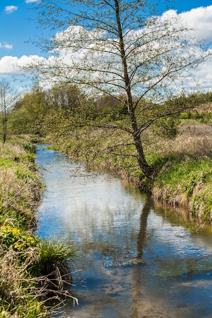 Mooie kleine rivier in het voorjaar