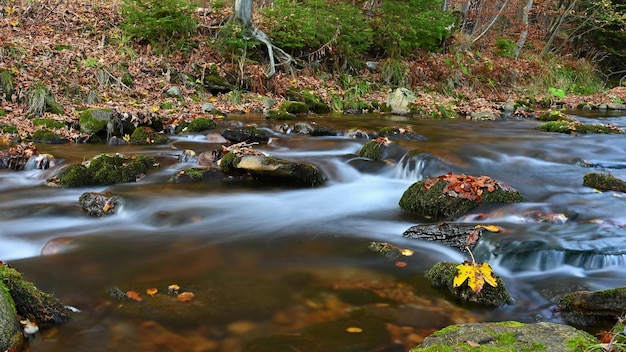 Mooie kleurrijke achtergrond met rivier en stenen in de herfsttijd White Opava Waterfalls Jeseniky Mountains Czech Republic