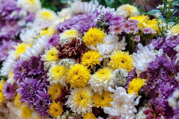 Mooie kleurrijke bloemen van behang