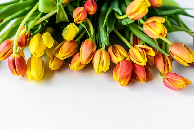 Mooie kleurrijke tulpen