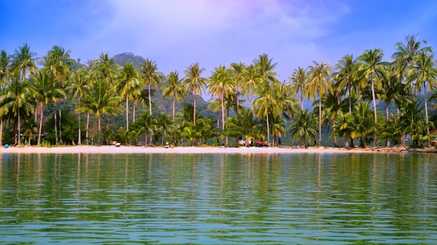 Mooie kokospalmen op een wit zandstrand op het eiland ten zuiden van THAILAND Ontspannende dag op het strand voor achtergrond