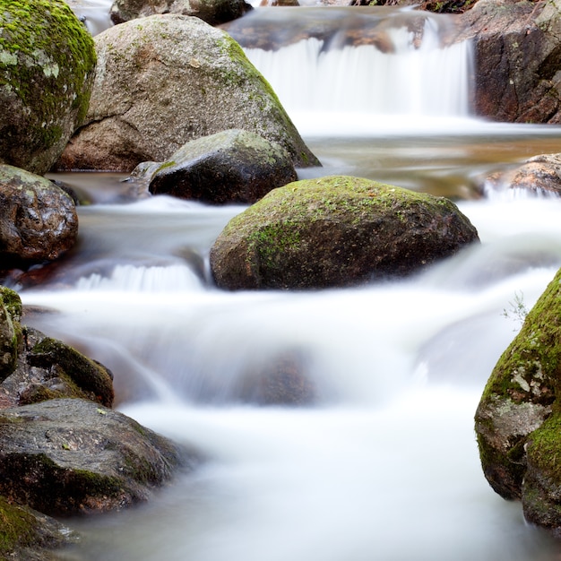 Mooie kreek met helder water