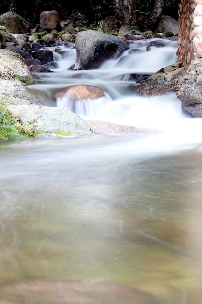 Mooie kreek met helder water