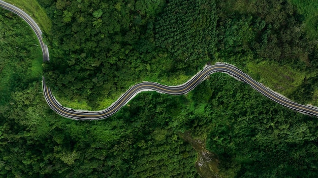 Mooie kromme weg op groen bos in het regenseizoen achtergrond landelijke routes die steden in het noorden van thailand met elkaar verbinden