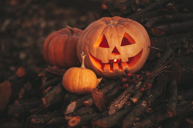 Mooie lachende gloed oranje grappig gezicht gesneden pompoenen voor Halloween vakantie in dag buiten