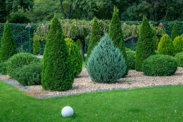 Mooie landschapsarchitectuur in het park met bomen, groenblijvende struiken en groen gras.