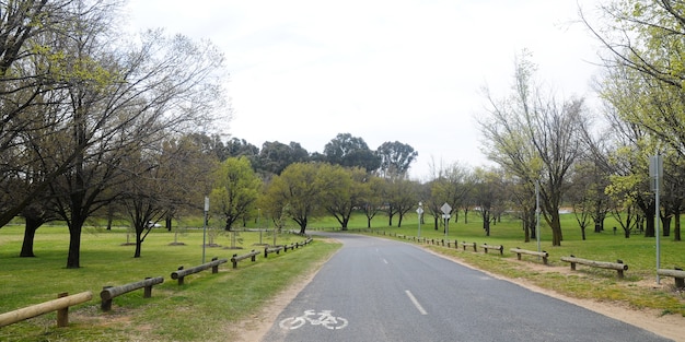 Mooie landweg dichtbij weidepark