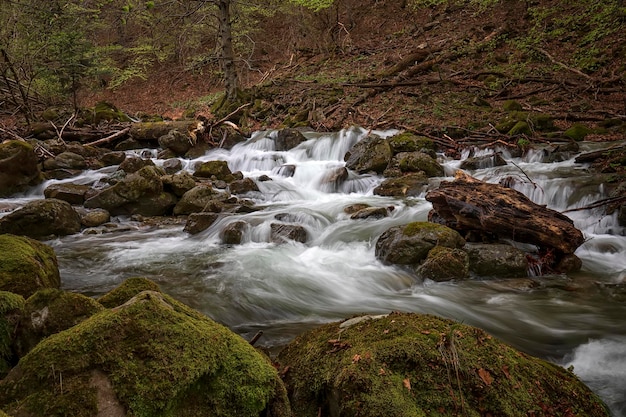Mooie lange belichtingstijd van stromend water in de rivier met rotsen in het bos