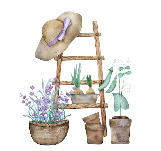 Mooie lavendel provence aquarel illustratie