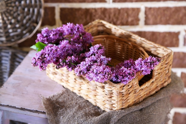 Mooie lila bloemen in rieten mand op houten ladder op kleur muur achtergrond