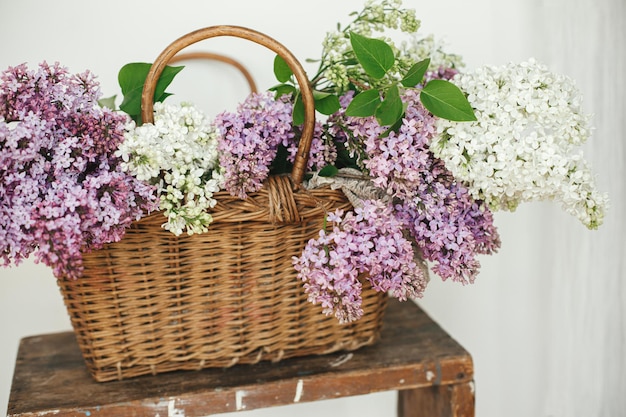 Mooie lila bloemen in rieten mand op houten stoel Lente rustiek stilleven op landelijke achtergrond Paarse en witte seringen samenstelling in huis Happy mothers day