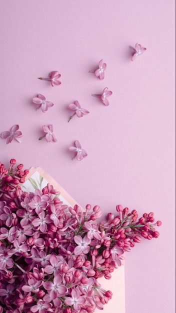 Mooie lila bloemen op envelop op een achtergrond met dezelfde kleur. minimalistische trendy bloemensamenstelling.