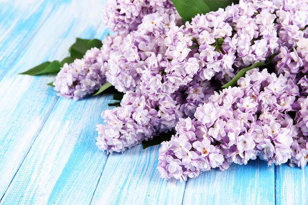 Mooie lila bloemen op tafel close-up