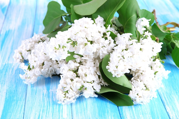 Mooie lila bloemen op tafel close-up