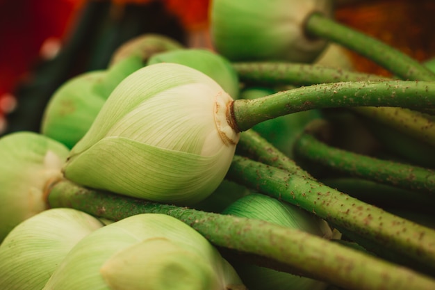 Mooie lotusbloemknop bij de Bloemmarkt van Thailand