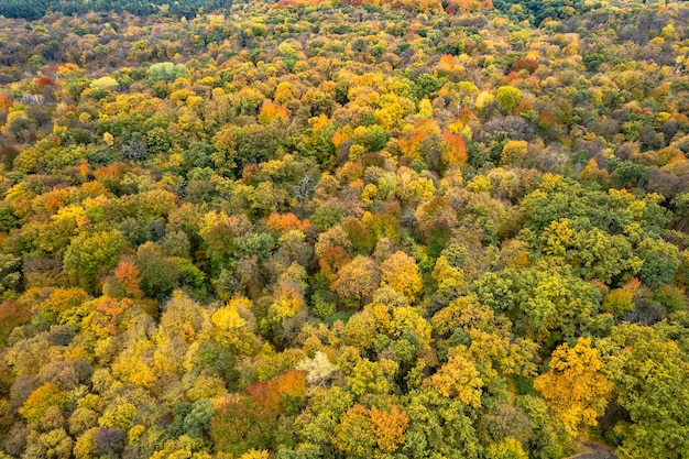 Mooie luchtfoto van herfstbos