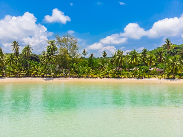 Mooie luchtfoto van strand en zee met coconut palmboom