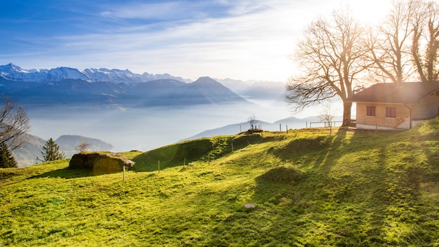 Mooie mening van de Zwitserse alpenberg in Rigi-berg en plattelandsdorp